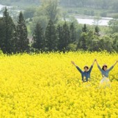 Trải nghiệm du xuân vui "quên lối về" ở Nagano và Niigata